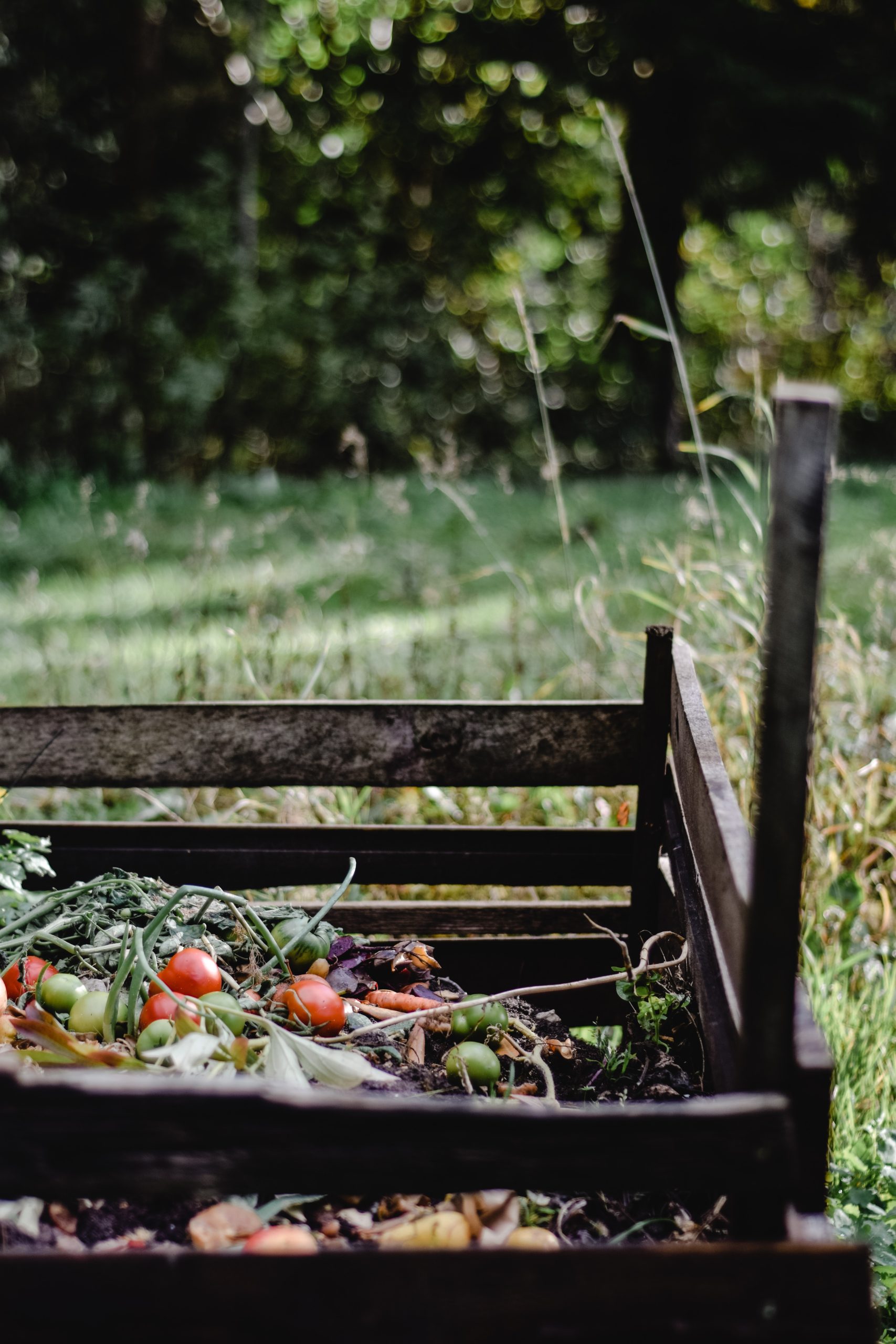 compost