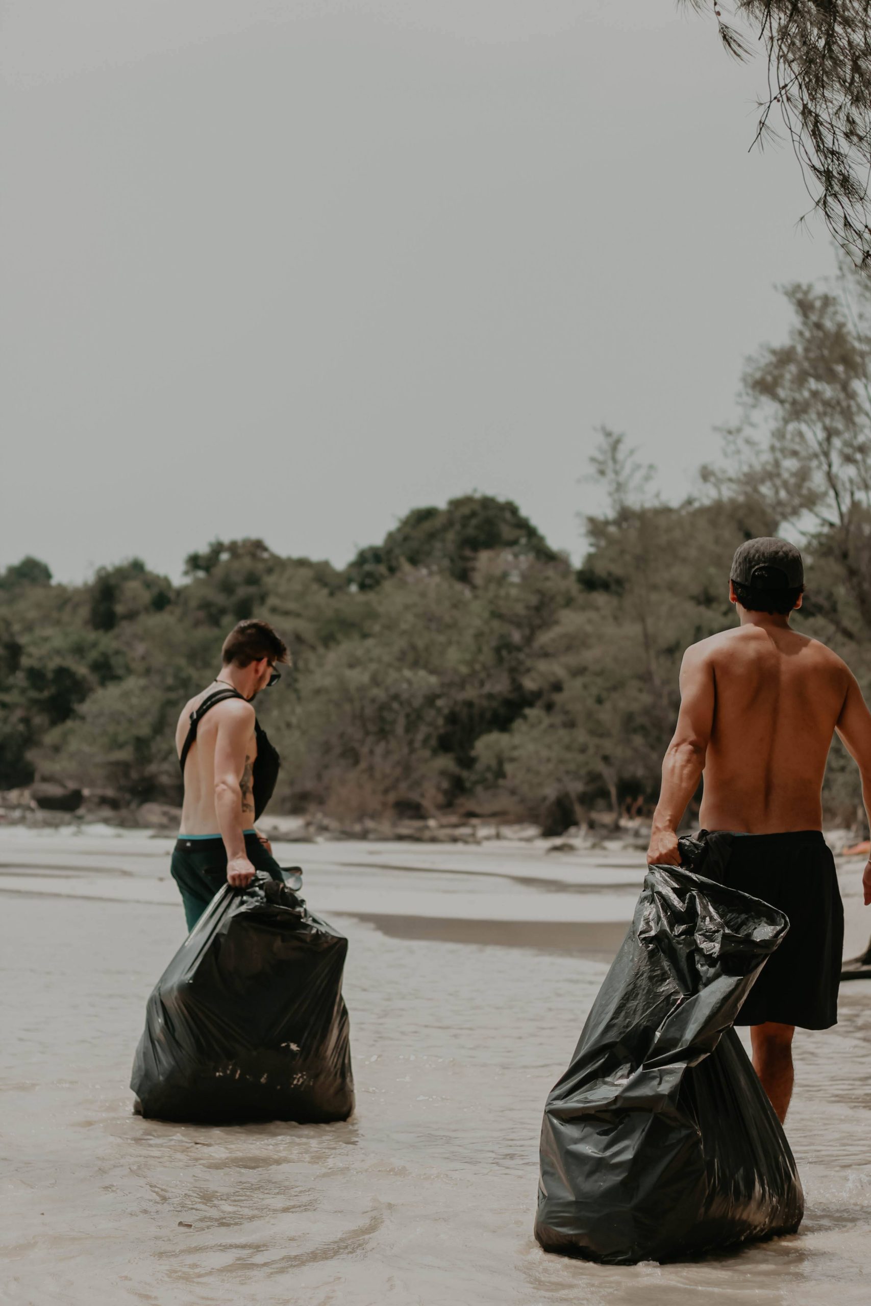 beach cleanups